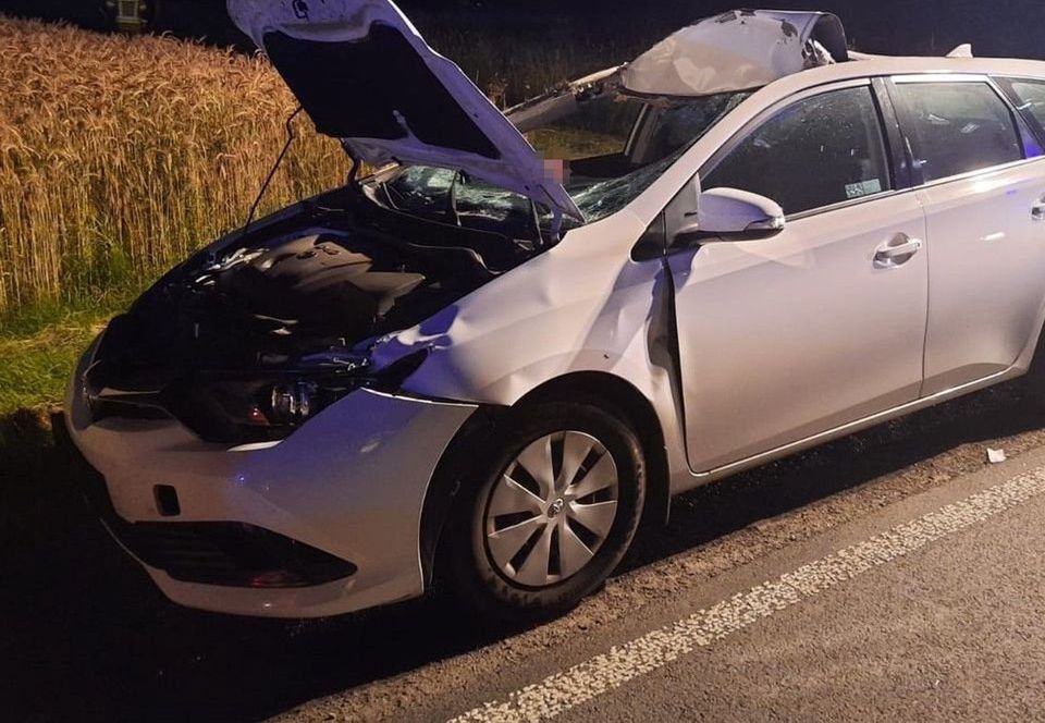 Zderzenie z dzikim zwierzęciem może mieć poważne konsekwencje