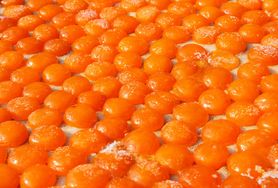 Niedobór witaminy B12 - przyczyny, objawy, leczenie