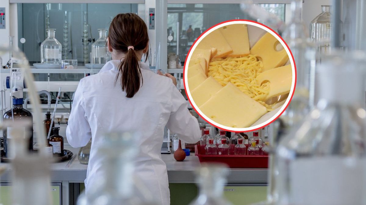 Wegańskie sery z Wrocławia (fot. ilustracyjne)