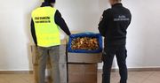 KAS i Straż Graniczna przechwyciły ponad 34 kg suszonych muchomorów z Ukrainy