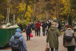 Niewybuch przy cmentarzu we Wrocławiu. Wezwano saperów