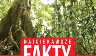 Najciekawsze fakty. Rekordy roślin