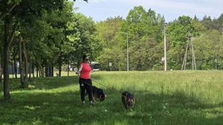 Radom: Niedziela w Schronisku dla Bezdomnych Zwierząt. Wszystkie psy wyszły na spacer