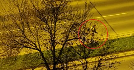 Hałas kosy spalinowej o godz. 2 w nocy obudził okolicznych mieszkańców