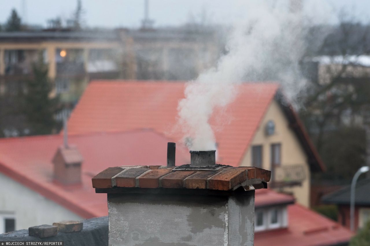 Deklaracja do CEEB. Czasu coraz mniej, a kara sięga 5000 zł