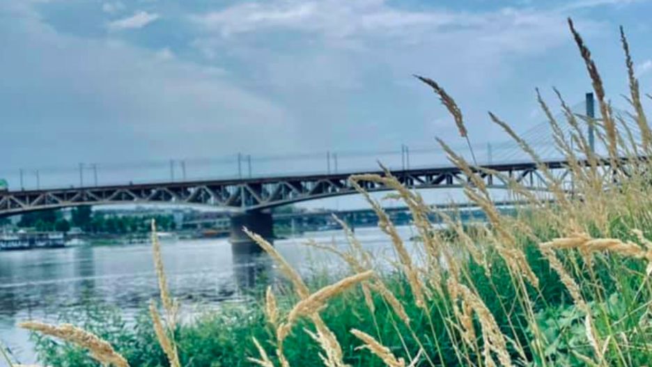 Warszawa. Nd Wisłę warto zajrzeć każdego dnia i o każdej porze. Latem w weekendy jednak dzieje się tu najwięcej. Kolejne sierpniowe spotkania już w najbliższych dniach. Można nauczyć się zaplatania wianków i przyłapać spadającą gwiazdę (Dzielnica Wisła)