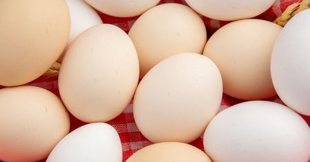 GIS ostrzega: salmonella w jajach. Sprawdź, czy masz je w lodówce!