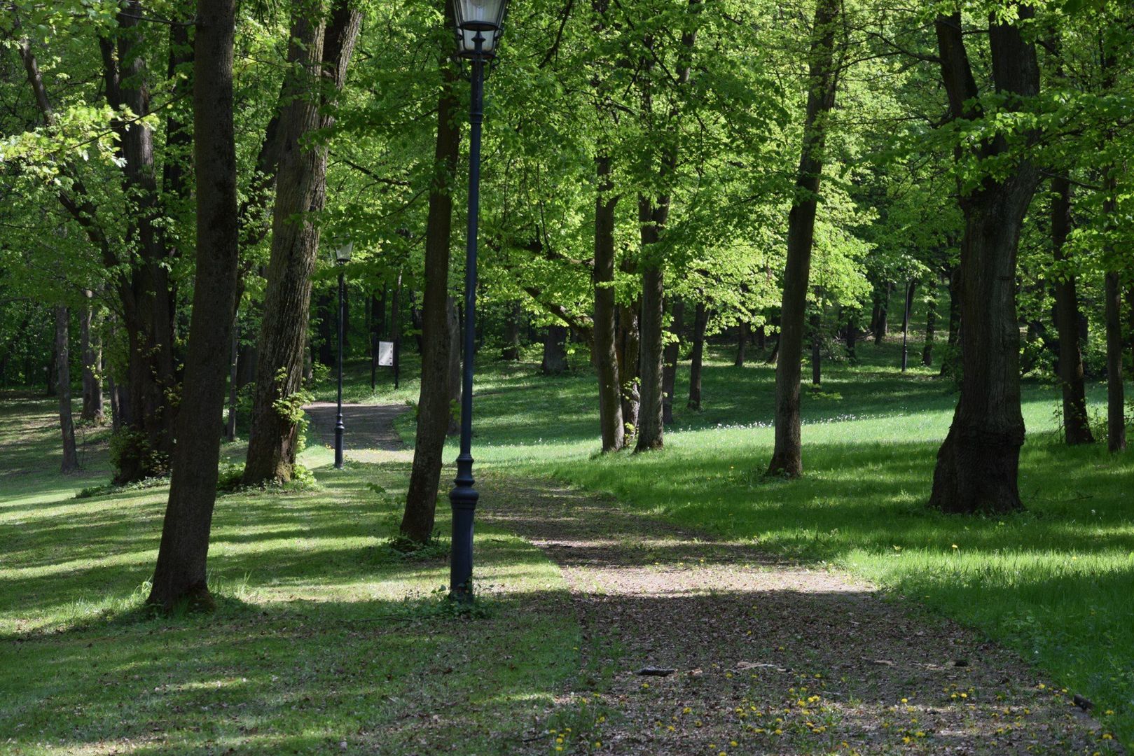 Park wokół Pałacu Goetz w Brzesku na wiosnę zachęca do spacerów