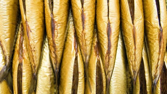 Nienasycone kwasy tłuszczowe, które znajdziesz w rybach wspomagają pracę mózgu