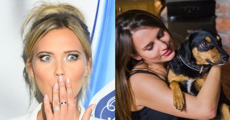 Gaja Kuroń miażdży Sandrę Kubicką: "Pies to członek rodziny do końca życia! Jak można go oddać, "bo ugryzł"?!