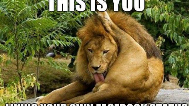 Ile zarabiają blogerzy i spece od Facebooka? Jedni 99 zł miesięcznie, a inni... 1