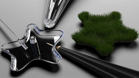 Ogródek na parasolki 1