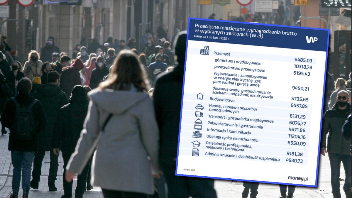 Wynagrodzenia według zawodów. Tutaj zarabia się najwięcej