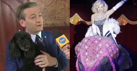 Biedroń broni zakazu występu cyrku: "Zwierzę nie jest rzeczą, ono też czuje!"