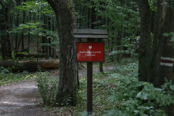 Śląskie: Rezerwat Parkowe zachwyca na każdym kroku