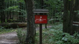 Śląskie: Rezerwat Parkowe zachwyca na każdym kroku