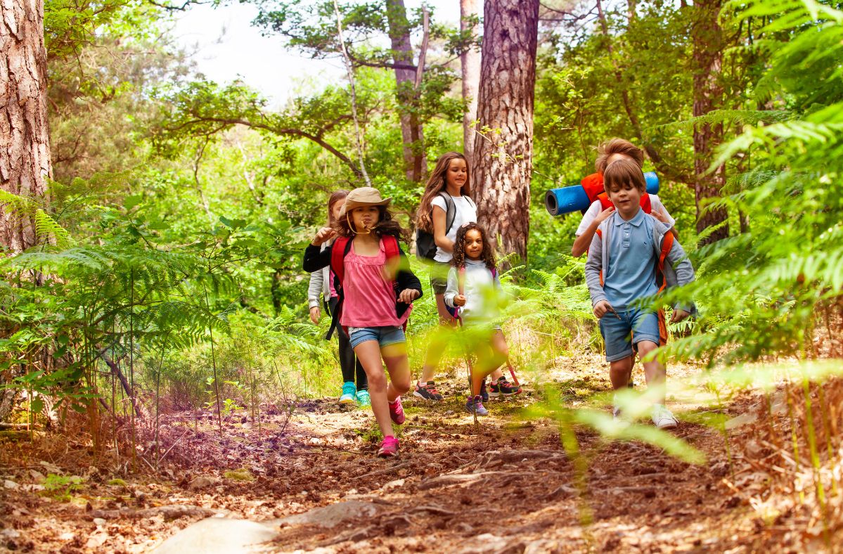 Schüler entdecken Drogen im Wald: Überraschungsfund auf Ischia