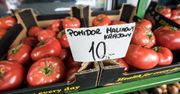 Co się stało z pomidorami w Polsce? "Taka cena to jest w lipcu, nie w maju"