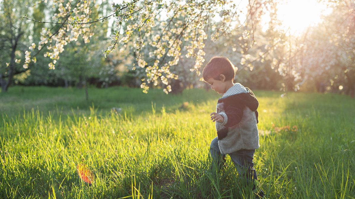 Alergia krzyżowa to sytuacja, gdy objawy alergii pojawiają się po kontakcie z cząsteczką o budowie podobnej do innego alergenu, na który już wystąpiła nadwrażliwość.