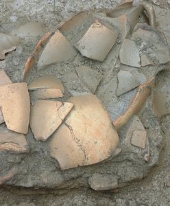 Ziemia Lubuska pełna skarbów. Niezwykle cenne odkrycie archeologiczne w regionie
