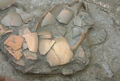 Ziemia Lubuska pełna skarbów. Niezwykle cenne odkrycie archeologiczne w regionie