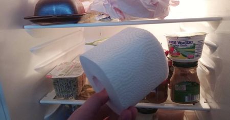 Papier toaletowy w lodówce. Niemal od razu zauważysz zadowalający efekt