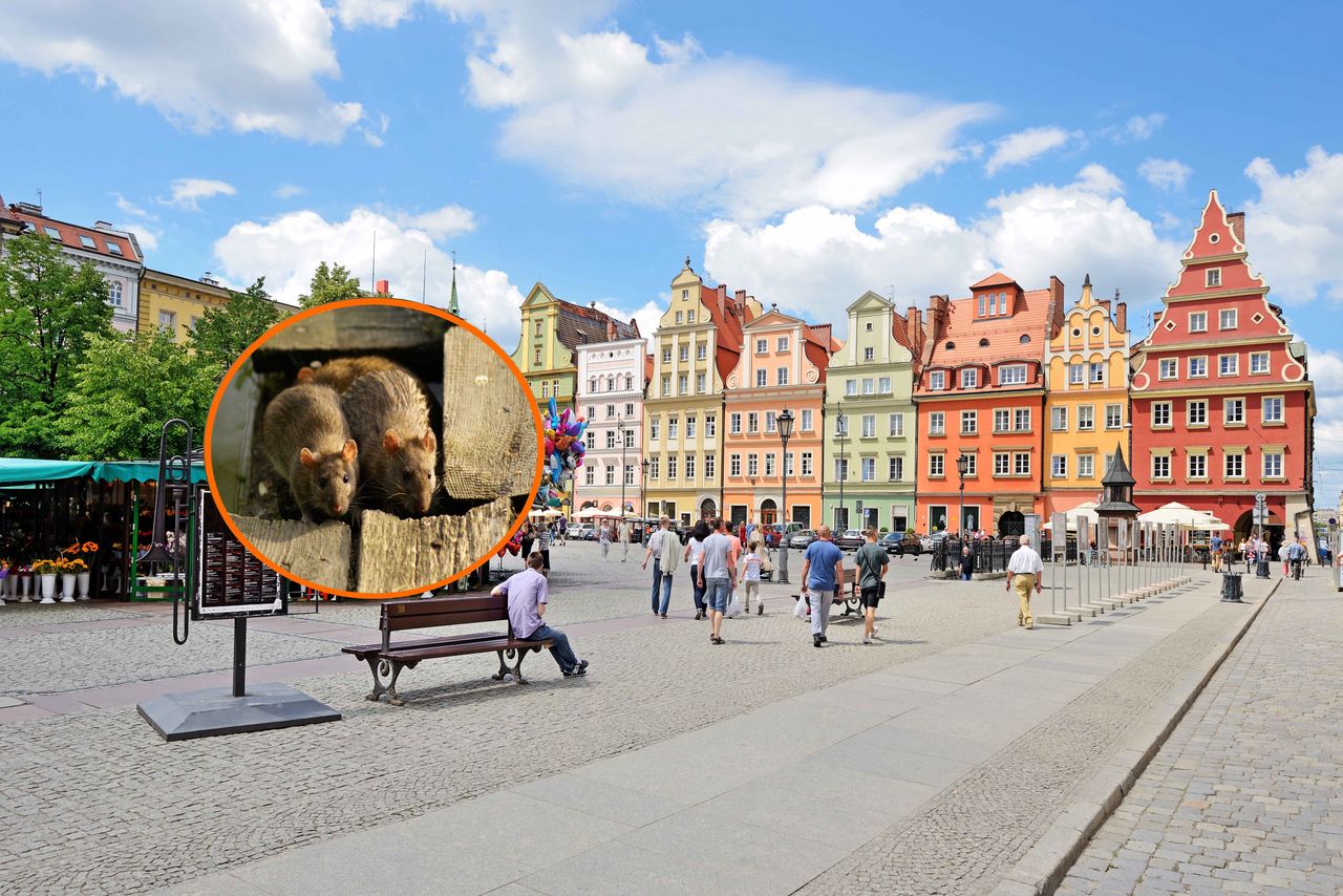 Turyści kochają to polskie miasto. Potężny problem pojawia się wieczorami