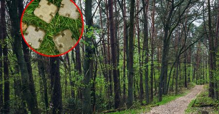 Pod żadnym pozorem nie dotykaj. W trzech województwach już się zaczęło