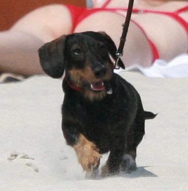 Sonia Bohosiewicz na plaży w Juracie