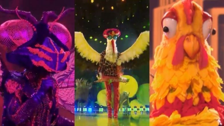 "Mask Singer". Widzowie obstawiają, kto kryje się w kostiumach Ważki, Deszczu, Bociana i Koguta