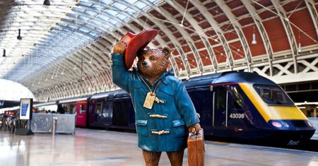 "Milionerzy". Skąd pochodzi miś Paddington?