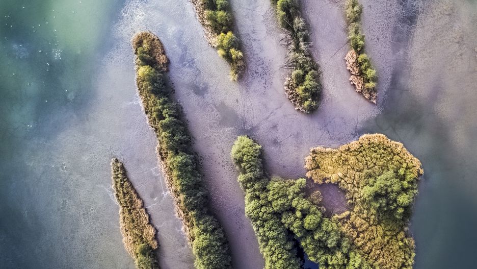 Wyspy na Stawach Milickich w Dolinie Baryczy