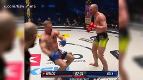 Potworny nokaut. Polak runął na deski z impetem