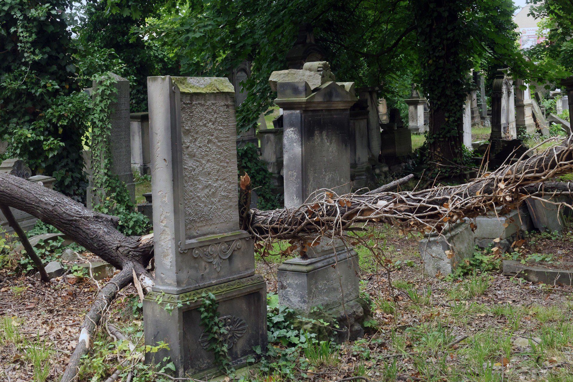 Dom Pogrzebowy na cmentarzu żydowskim w Legnicy ma prawie 150 lat. Zobacz zdjęcia