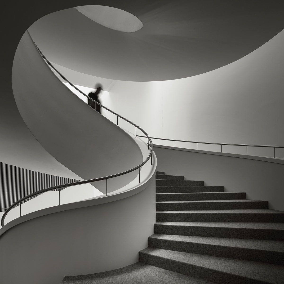 Oto najlepsze zdjęcia zgłoszone dotychczas w Sony World Photography Awards 2015 18