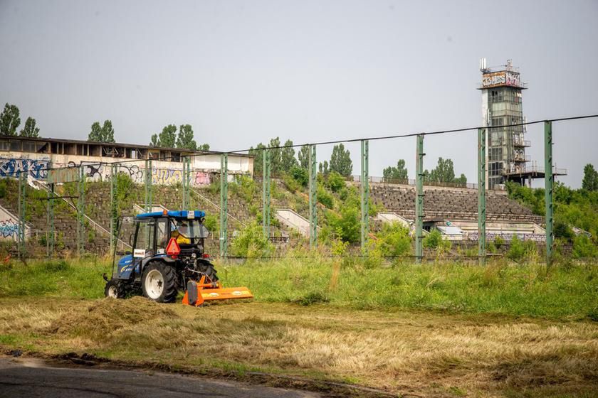 Warszawa. Znika przygnębiający widok, który oglądać trzeba było latami. Zarastające dziką roślinnością obiekty sportowe powoli odzyskają swoje funkcje i wrócą do parametrów stawianych terenom ćwiczeń i aktywnej rekreacji