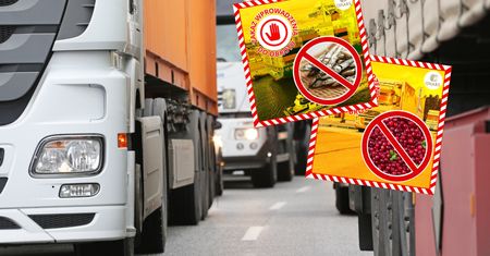 Żywność z Rosji jechała do Polski. Jedna rzecz zaniepokoiła służby