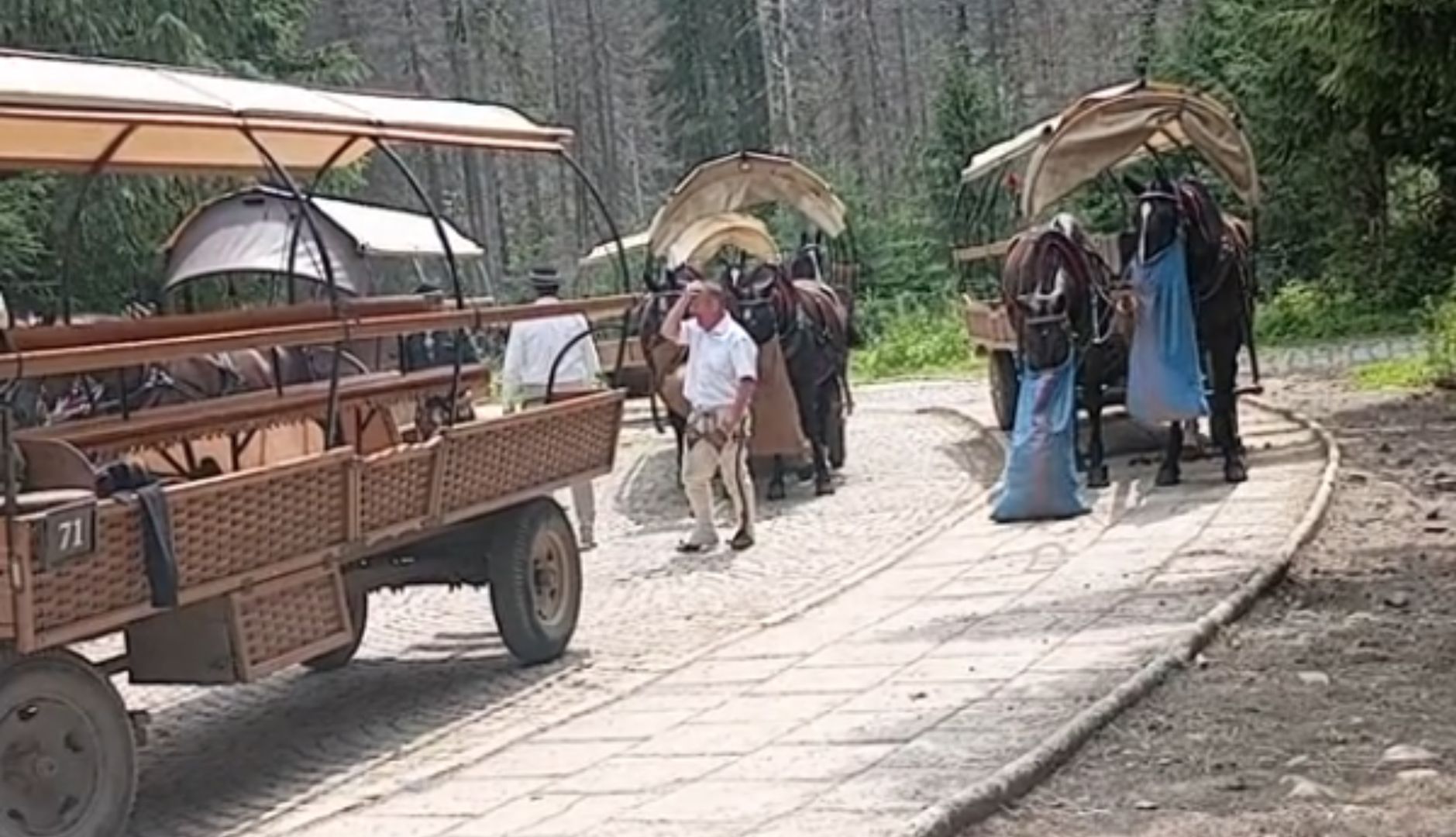 Pokazał nagranie z drogi do Morskiego Oka. Burza w sieci