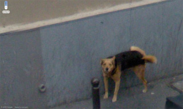 20 dziwnych i ciekawych zdjęć z Google Street View 9
