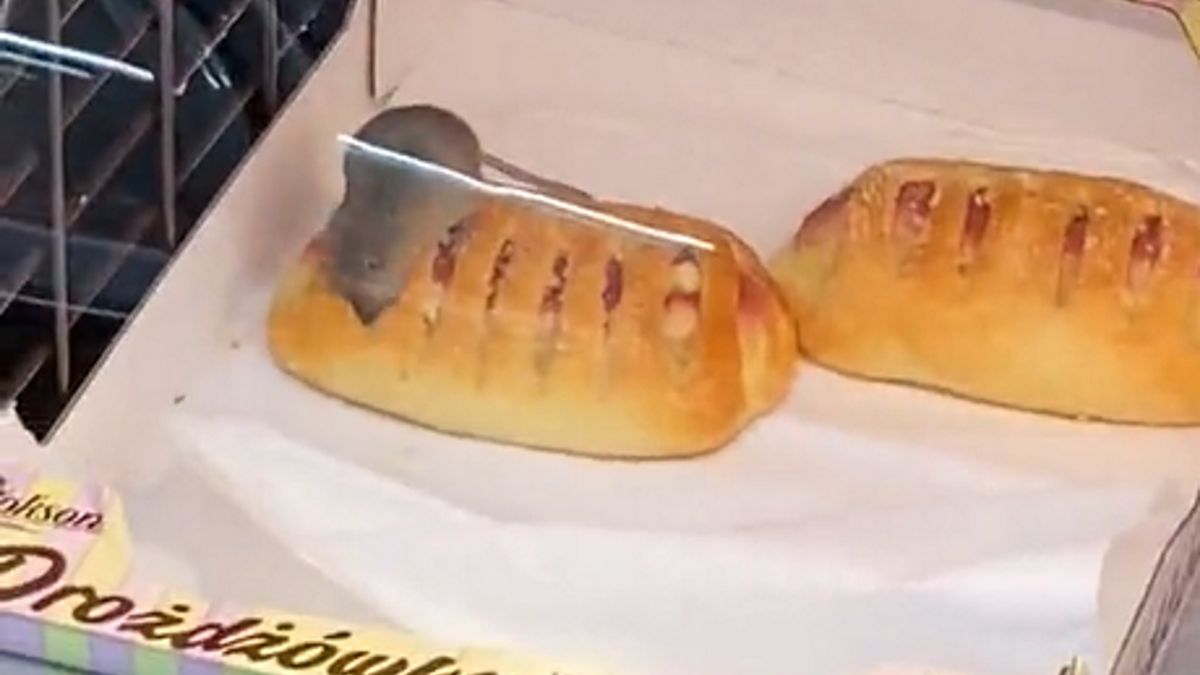 Poszła na dział z pieczywem w dyskoncie. Osłupiała, gdy to zobaczyła 