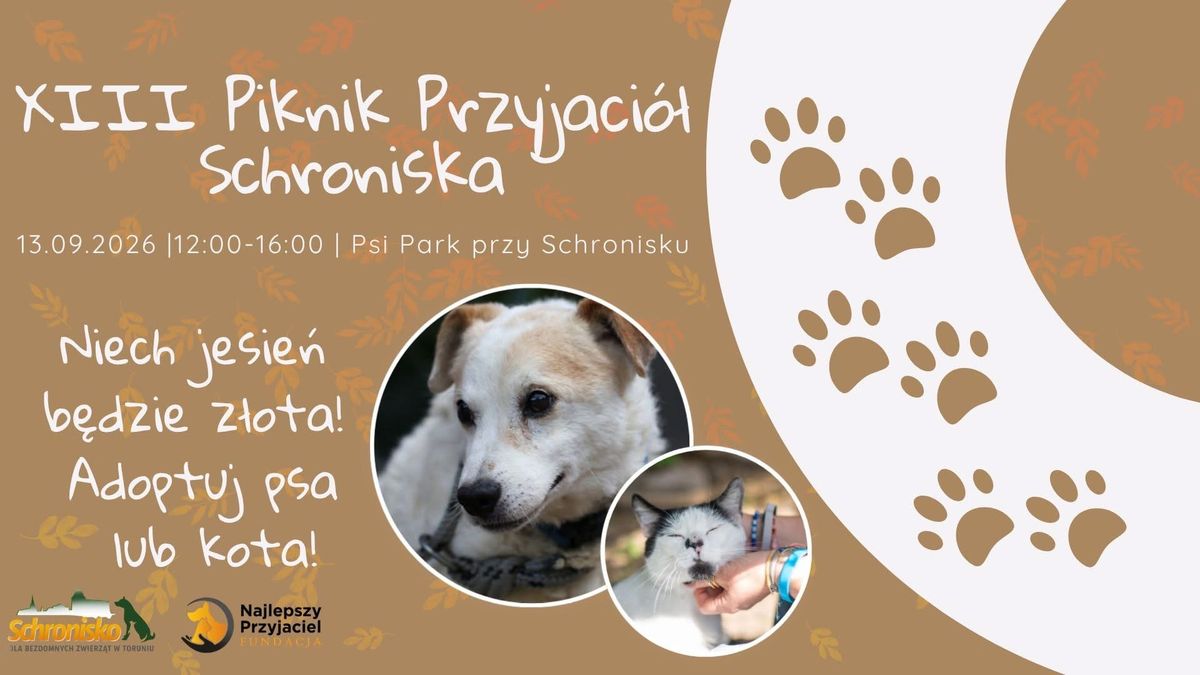 XIII Piknik Przyjaciół Schroniska
