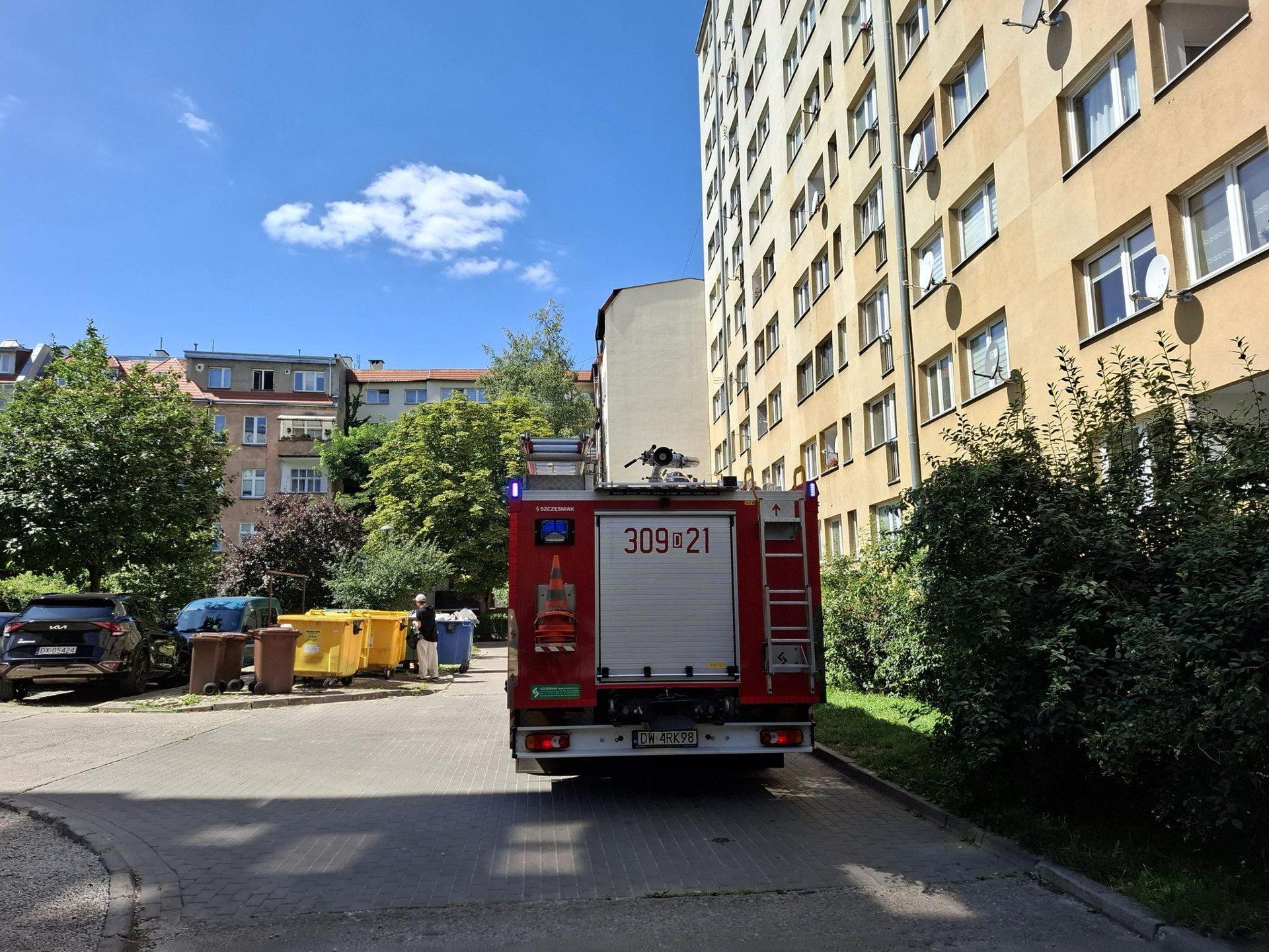 Boa dusiciel pełzał pod sklepem we Wrocławiu