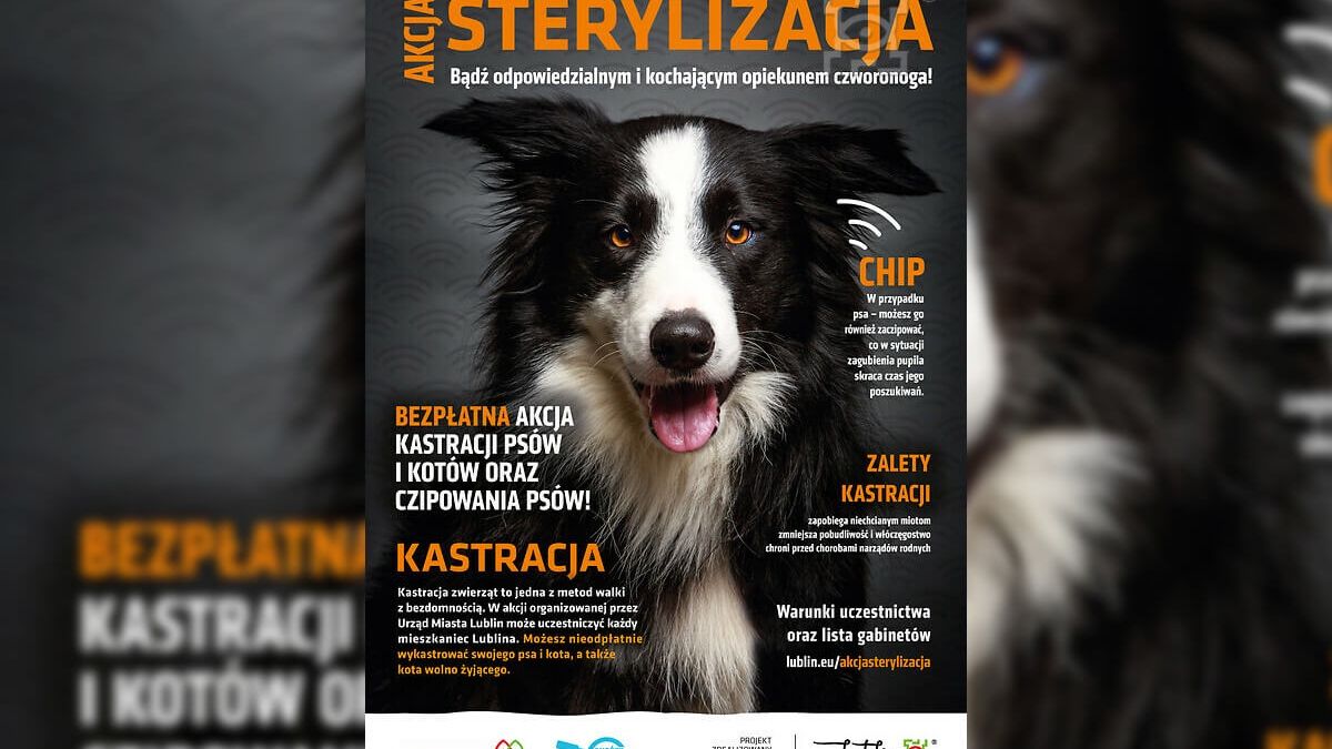 Sterylizacja i kastracja zwierząt plakat