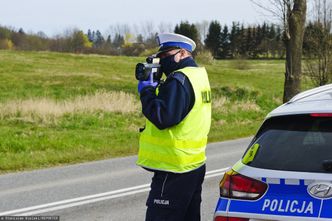 Kodeks drogowy 2020. Pierwszeństwo pieszych i łatwiej o utratę prawa jazdy