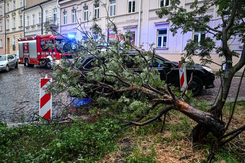 Przemyśl, 07.07.2025. Strażacy usuwają zniszczenia po burzy w Przemyślu, 7 bm. Instytut Meteorologii i Gospodarki Wodnej wydał ostrzeżenia I i II stopnia przed burzami z opadami deszczu i gradu oraz porywami wiatru. Alertami objęta jest zachodnia, południowo-wschodnia i południowa Polska. (jm) PAP/Darek Delmanowicz