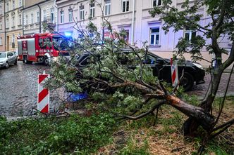Burze nad Polską. 600 interwencji w jednym regionie