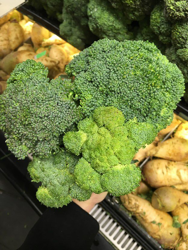 enhanced-15438-1460385729-1