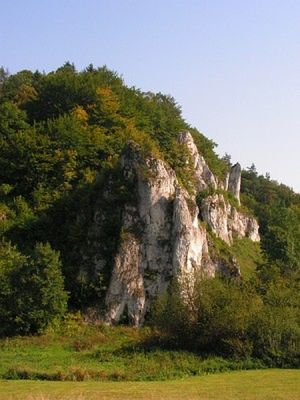 Obraz