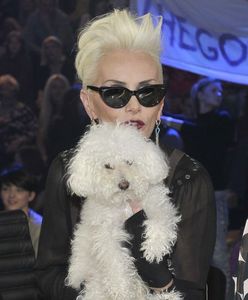 3,3 mln widzów ogląda show "Tylko muzyka. Must be the music"