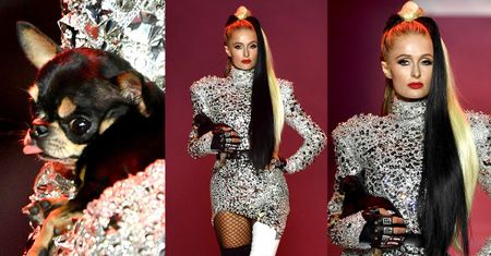 Paris Hilton jako córka Cruelli De Mon (?) na wybiegu w Nowym Jorku